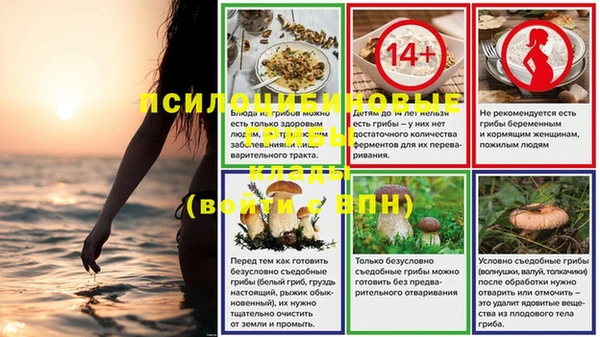 PSILOCYBIN Белокуриха