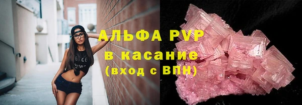 PSILOCYBIN Белокуриха