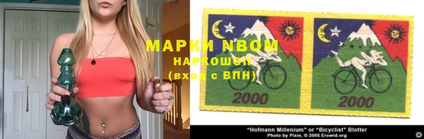 PSILOCYBIN Белокуриха