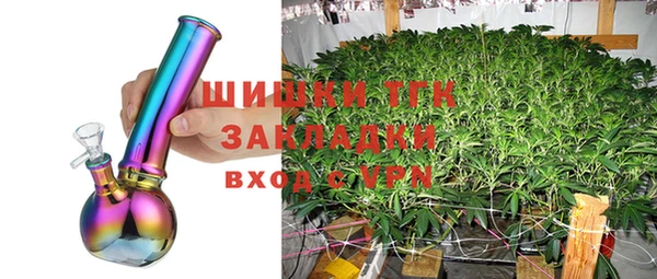 PSILOCYBIN Белокуриха
