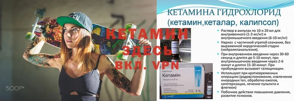 PSILOCYBIN Белокуриха