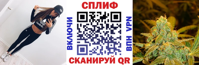 МАРИХУАНА конопля  кракен как зайти  Шагонар 